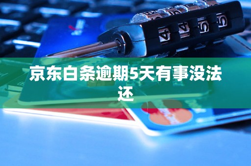 京东白条逾期5天有事没法还
