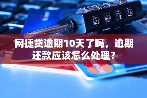 网捷贷逾期10天了吗，逾期还款应该怎么处理？