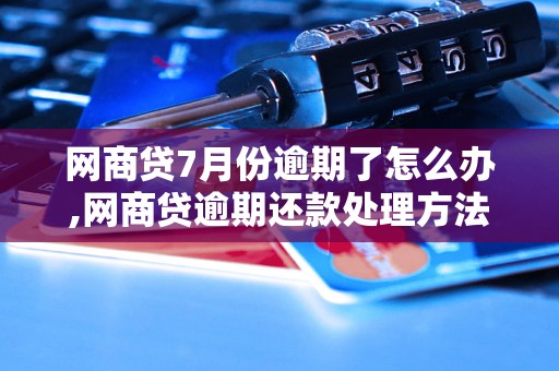 网商贷7月份逾期了怎么办,网商贷逾期还款处理方法