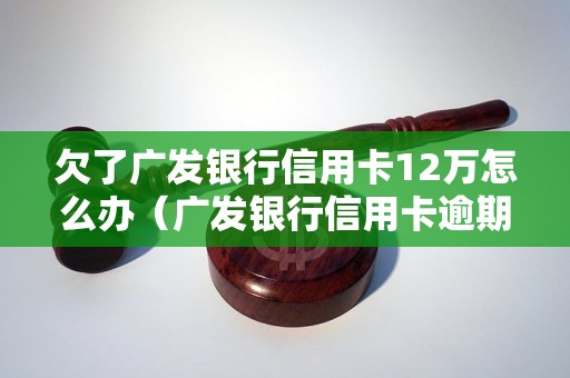 欠了广发银行信用卡12万怎么办（广发银行信用卡逾期处理方法）