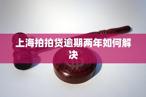 上海拍拍贷逾期两年如何解决