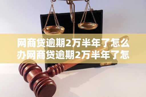 网商贷逾期2万半年了怎么办网商贷逾期2万半年了怎么处理