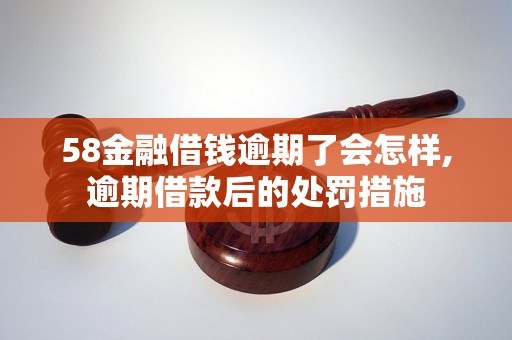 58金融借钱逾期了会怎样,逾期借款后的处罚措施