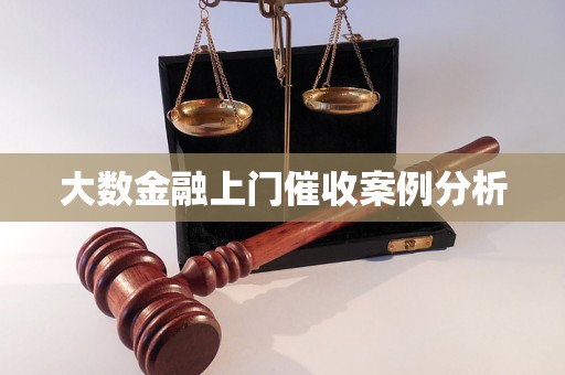 大数金融上门催收案例分析