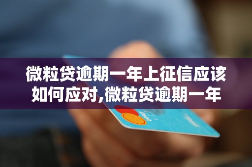 微粒贷逾期一年上征信应该如何应对,微粒贷逾期一年会对征信有什么影响