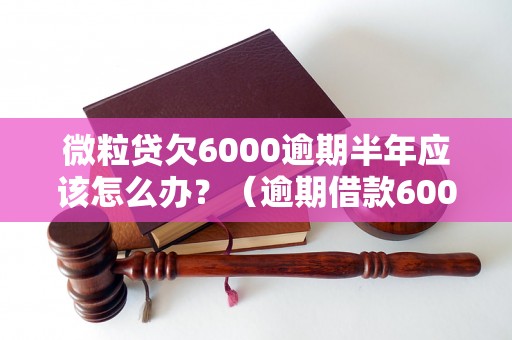 微粒贷欠6000逾期半年应该怎么办？（逾期借款6000元，半年无还款，后果严重吗）