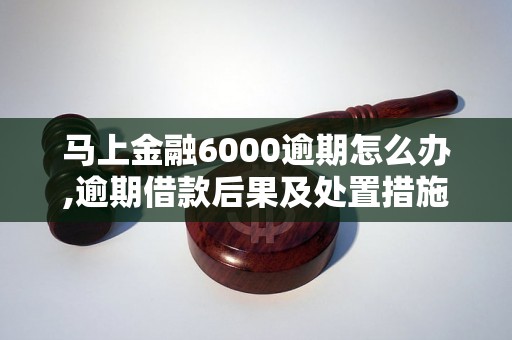 马上金融6000逾期怎么办,逾期借款后果及处置措施