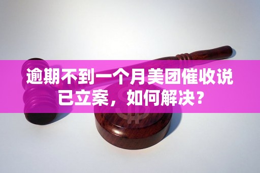 逾期不到一个月美团催收说已立案，如何解决？