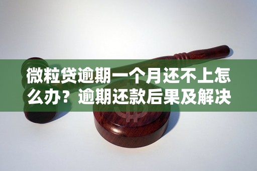 微粒贷逾期一个月还不上怎么办？逾期还款后果及解决方法详解