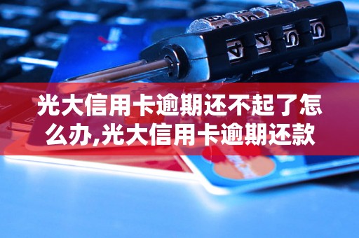 光大信用卡逾期还不起了怎么办,光大信用卡逾期还款逃不掉的后果