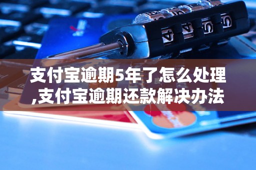 支付宝逾期5年了怎么处理,支付宝逾期还款解决办法