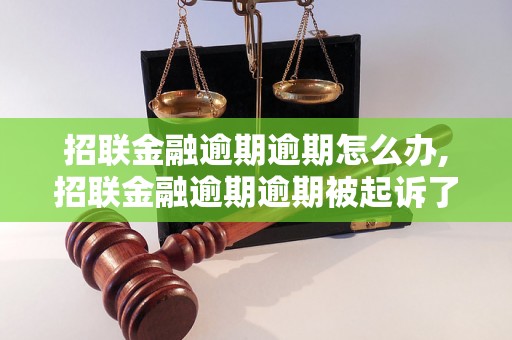 招联金融逾期逾期怎么办,招联金融逾期逾期被起诉了