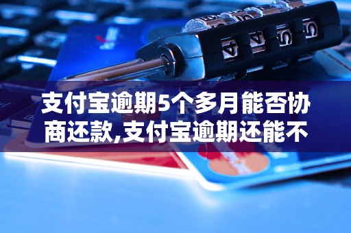 支付宝逾期5个多月能否协商还款,支付宝逾期还能不能分期还款