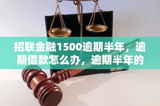 招联金融1500逾期半年，逾期借款怎么办，逾期半年的后果如何处理