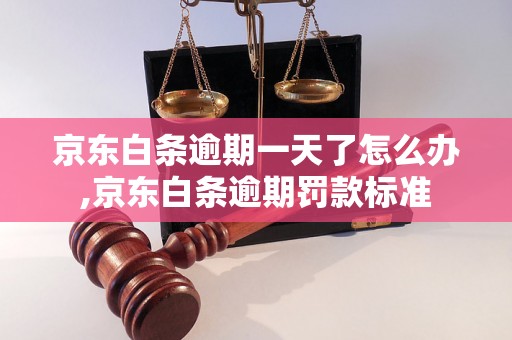 京东白条逾期一天了怎么办,京东白条逾期罚款标准