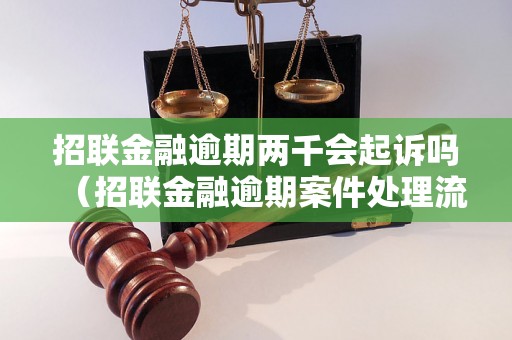 招联金融逾期两千会起诉吗（招联金融逾期案件处理流程解析）