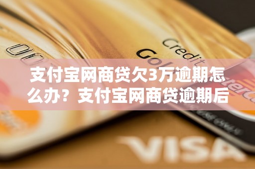 支付宝网商贷欠3万逾期怎么办？支付宝网商贷逾期后果严重吗？