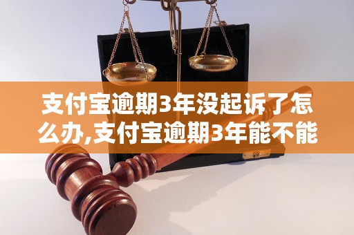 支付宝逾期3年没起诉了怎么办,支付宝逾期3年能不能起诉