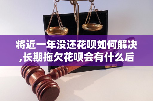 将近一年没还花呗如何解决,长期拖欠花呗会有什么后果