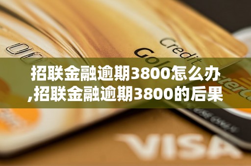 招联金融逾期3800怎么办,招联金融逾期3800的后果和处理方法