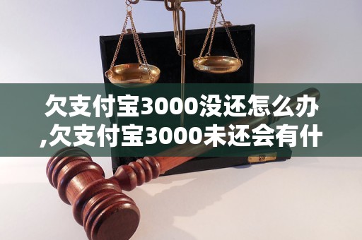 欠支付宝3000没还怎么办,欠支付宝3000未还会有什么后果