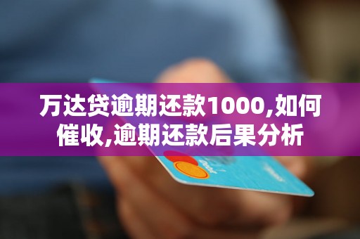 万达贷逾期还款1000,如何催收,逾期还款后果分析