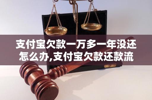 支付宝欠款一万多一年没还怎么办,支付宝欠款还款流程解析