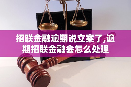 招联金融逾期说立案了,逾期招联金融会怎么处理