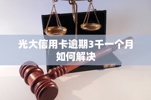 光大信用卡逾期3千一个月如何解决