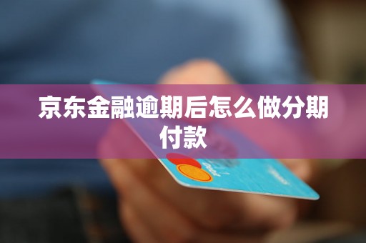 京东金融逾期后怎么做分期付款