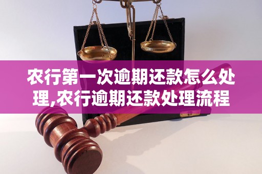 农行第一次逾期还款怎么处理,农行逾期还款处理流程详解