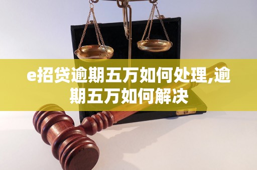 e招贷逾期五万如何处理,逾期五万如何解决