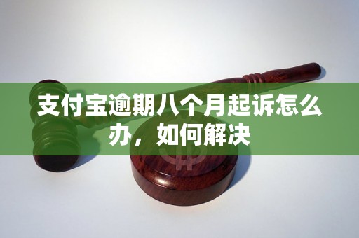 支付宝逾期八个月起诉怎么办，如何解决