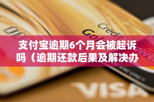 支付宝逾期6个月会被起诉吗（逾期还款后果及解决办法）