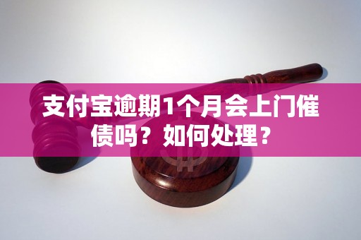 支付宝逾期1个月会上门催债吗？如何处理？