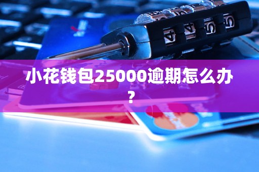 小花钱包25000逾期怎么办？