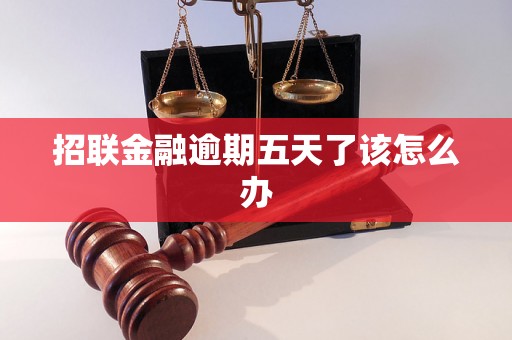 招联金融逾期五天了该怎么办