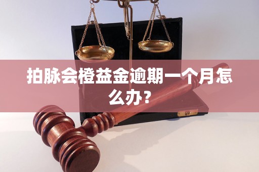 拍脉会橙益金逾期一个月怎么办？