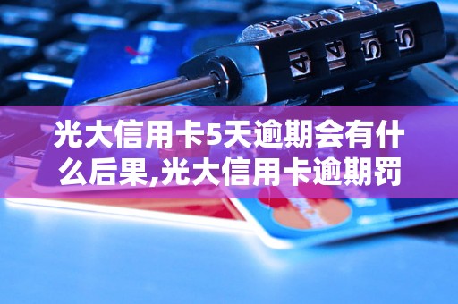 光大信用卡5天逾期会有什么后果,光大信用卡逾期罚款标准