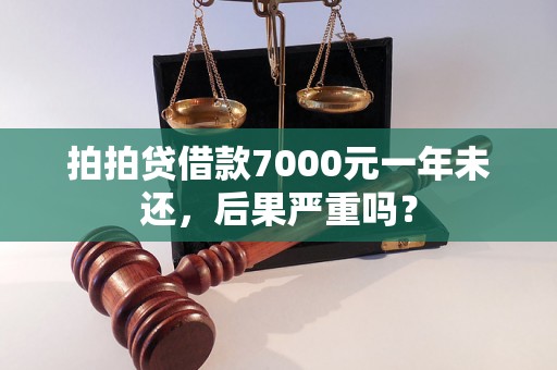 拍拍贷借款7000元一年未还，后果严重吗？