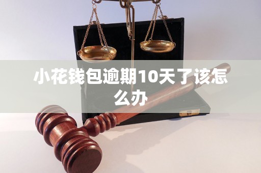 小花钱包逾期10天了该怎么办