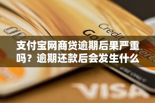 支付宝网商贷逾期后果严重吗？逾期还款后会发生什么？