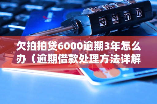 欠拍拍贷6000逾期3年怎么办（逾期借款处理方法详解）