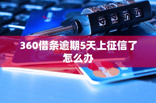 360借条逾期5天上征信了怎么办