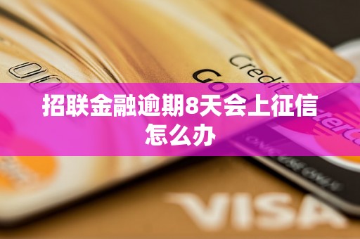 招联金融逾期8天会上征信怎么办