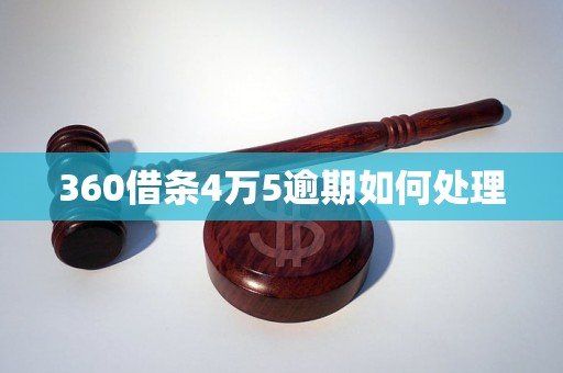 360借条4万5逾期如何处理