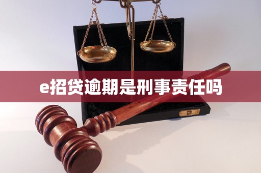 e招贷逾期是刑事责任吗