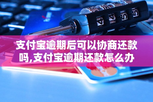 支付宝逾期后可以协商还款吗,支付宝逾期还款怎么办