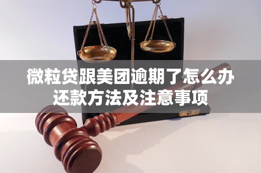 微粒贷跟美团逾期了怎么办还款方法及注意事项