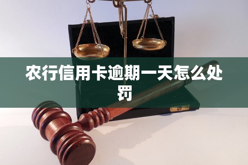 农行信用卡逾期一天怎么处罚